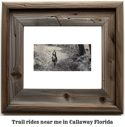 trail rides near me in Callaway, Florida